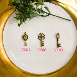 Clé de bronze YS0003